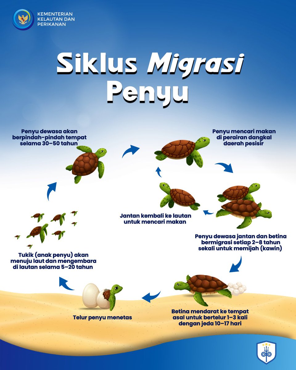 PERPUSKKP's tweet photo. No GPS &amp; no maps, tapi penyu bisa tetap pulang ke tempat asal setelah bertahun-tahun. Kok bisa? 

Bisa dong pastinya! Penyu mempunyai kemampuan navigasi alami yang membantu mereka dapat menemukan tempat asal mereka. 

Yuk, kita lihat proses bagaimana penyu bermigrasi!
#KKPMembaca https://t.co/iqJeYt9Jxy