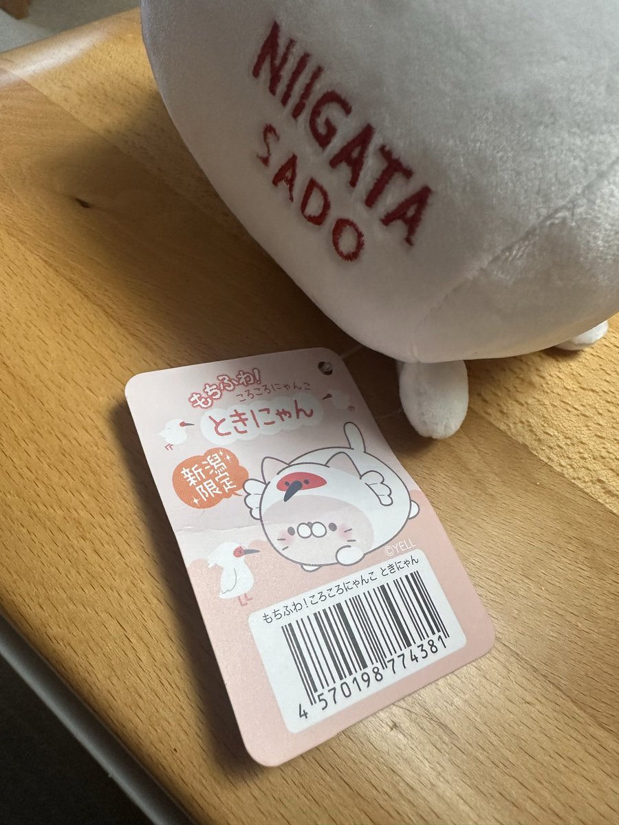 toki311_12's tweet photo. 可愛いし名前がもう最高😆✨️ https://t.co/fb7ut9XjNA