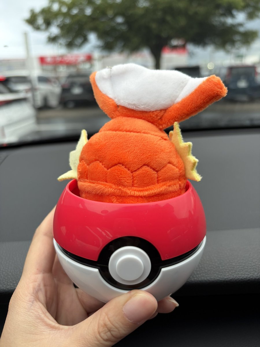 ZeroTanukiinyo's tweet photo. 私はこれをやりたくてやりたくて、、、🤭 https://t.co/Xjrjk0uP0c