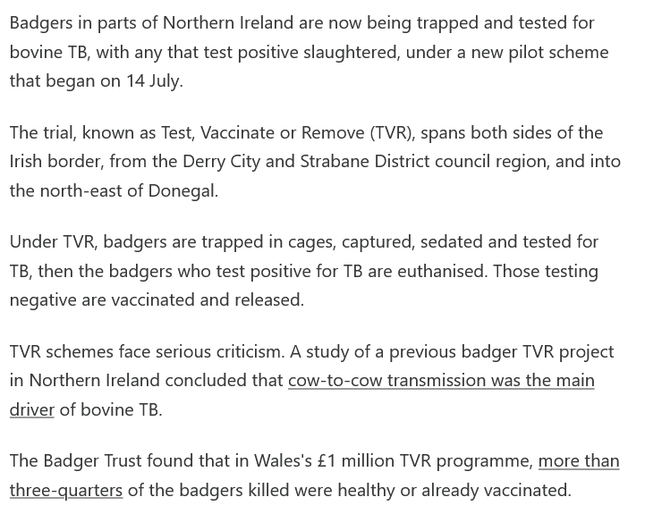 AmeleaTeckel's tweet photo. 2/3 #badgermonday🦡 #stopthecull https://t.co/mVe0RvrUvY