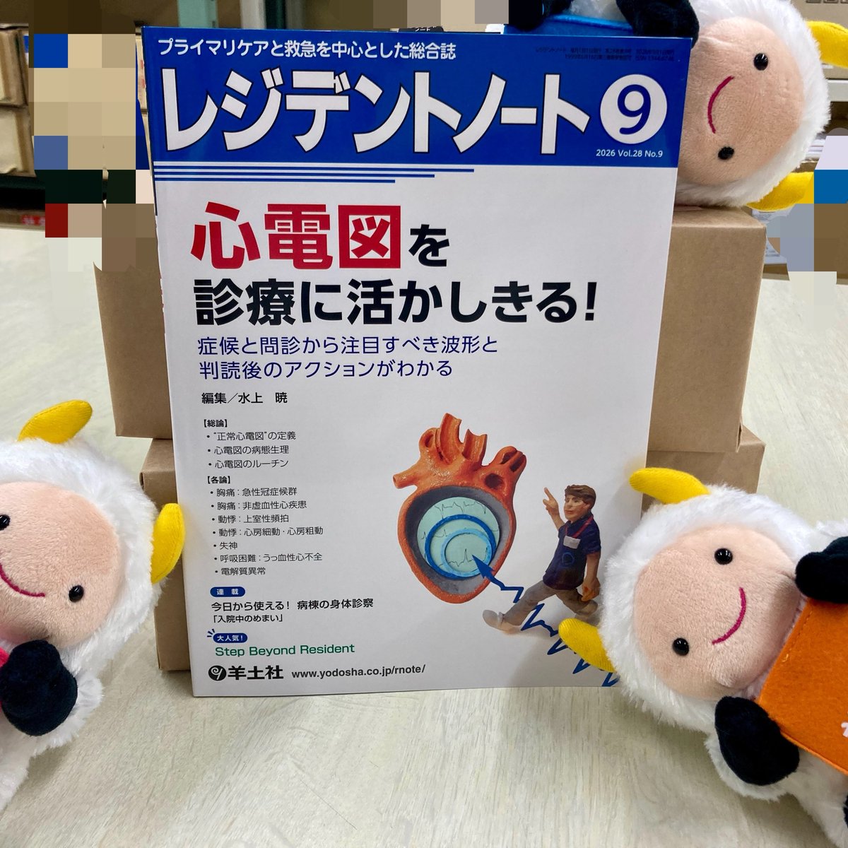 Yodosha_RN's tweet photo. レジデントノート 9月号の見本誌が届きました🌻  📗特集「心電図を診療に活かしきる！」（水上暁先生／編） 主要症状ごとに心電図の注目ポイント・読み解き方・次のアクションを解説。実臨床に活きるスキルが身につく1冊❗️  発行は 8月10日☀️ 目次・序文・紙面見本⬇️ https://t.co/bwbegnndPD https://t.co/KqbKy7qXSy