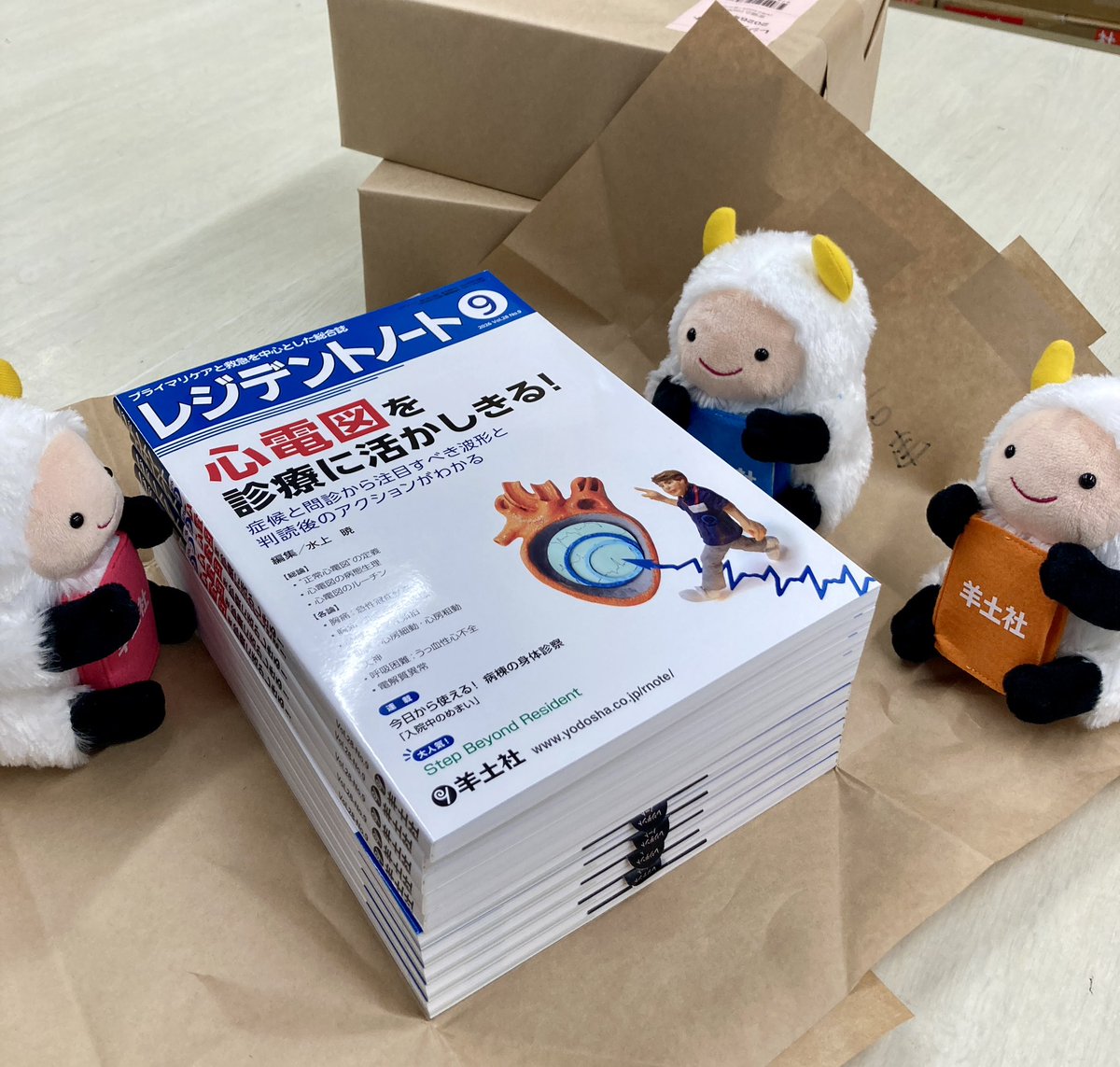 Yodosha_RN's tweet photo. レジデントノート 9月号の見本誌が届きました🌻  📗特集「心電図を診療に活かしきる！」（水上暁先生／編） 主要症状ごとに心電図の注目ポイント・読み解き方・次のアクションを解説。実臨床に活きるスキルが身につく1冊❗️  発行は 8月10日☀️ 目次・序文・紙面見本⬇️ https://t.co/bwbegnndPD https://t.co/KqbKy7qXSy