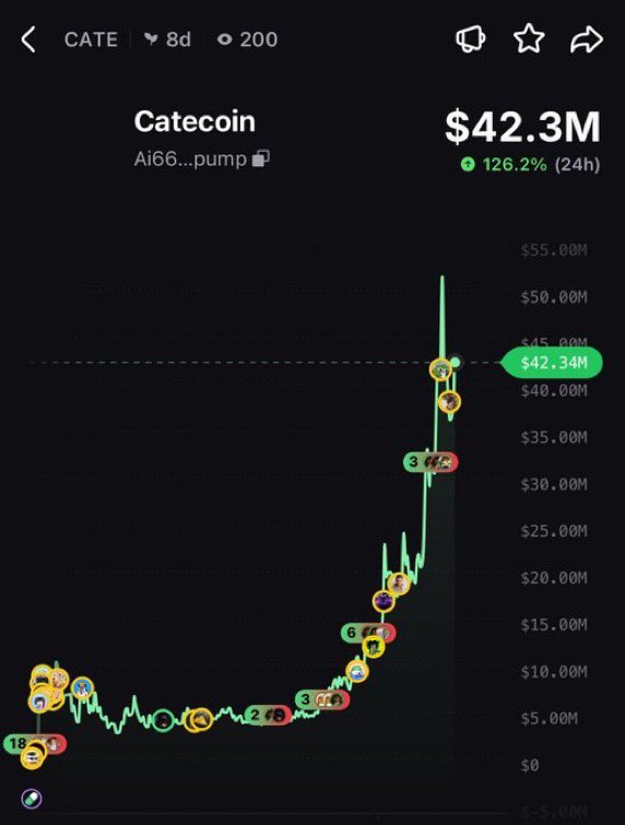 saracrypto_eth's tweet photo. $CATE THE AUGUST RUNNER 

CALLED IT AT 6K MC IT WENT TO 42M 

IF YOU MISS $CATE DON’T WORRY 

CRY NO MORE OKAY 

PUT NOTIFICATION 🔔 ON 

WEDNESDAY I WILL CALL AUGUST RUNNER HERE 

BUT DON’T FADE ME TWICE 🫵

TIME TO RETIRE MORE DEGENS &amp; BELIEVERS https://t.co/AnSQn5vzIK