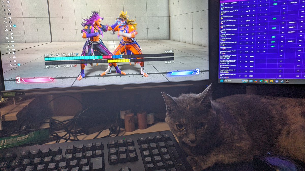 tenku5's tweet photo. ヤスミンのせいで構ってもらえなくて、色々と邪魔してくる猫 https://t.co/vZLsRj6SFj