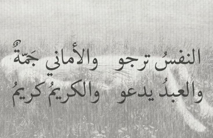 AboDimaa88's tweet photo. https://t.co/h6KcGYvdpU