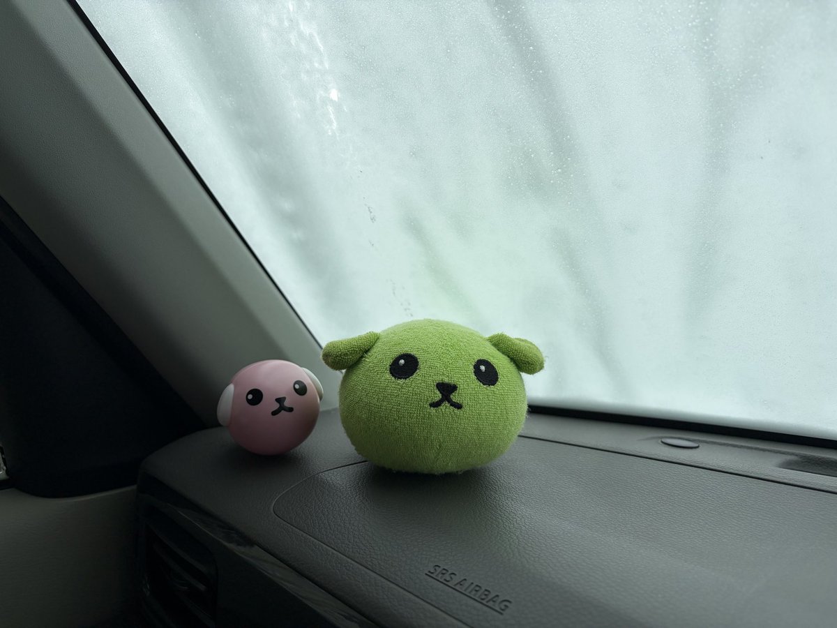 mamesocs's tweet photo. 洗車って小さい頃から、ちょっとワクワクするんですよね〜
わ〜(▽◕ ᴥ ◕▽)

 #豆しば #洗車  #ぬい撮り https://t.co/pFpxx3GLEF