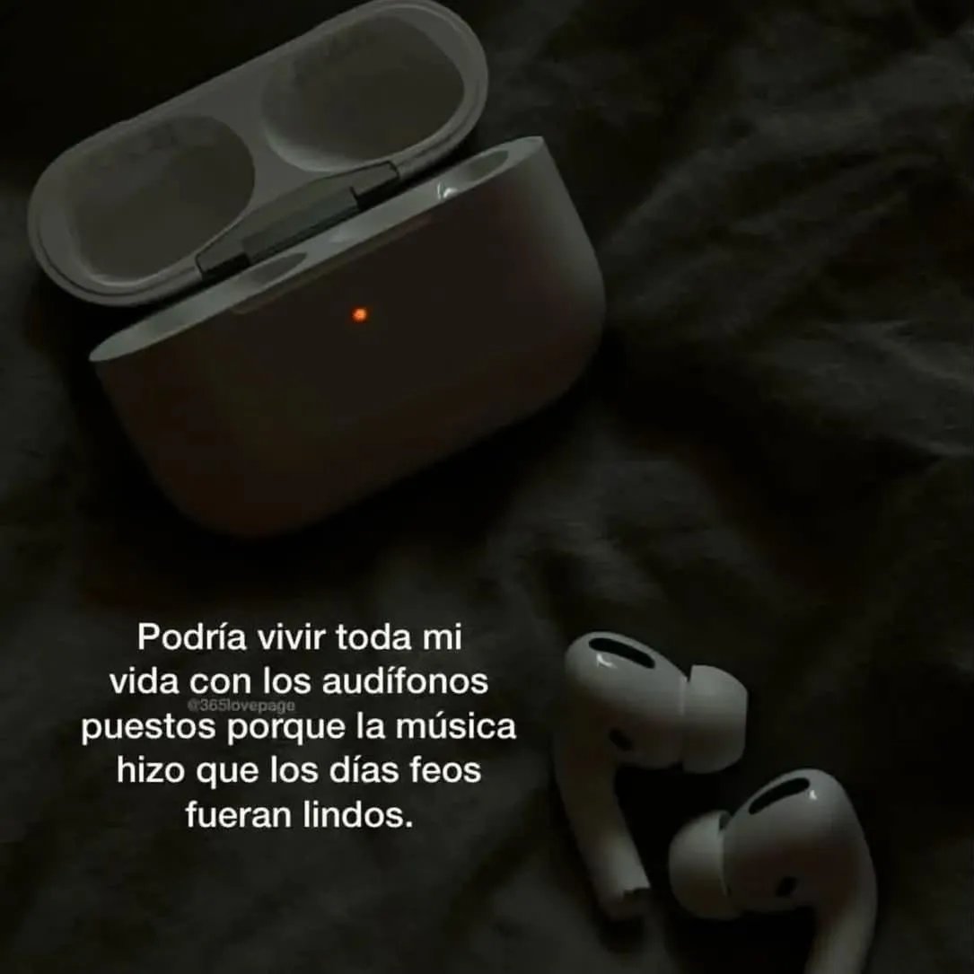 RincnCuriosoo's tweet photo. Son los mejores compañeros en este viaje llamado vida... https://t.co/BFBBCSNr9q