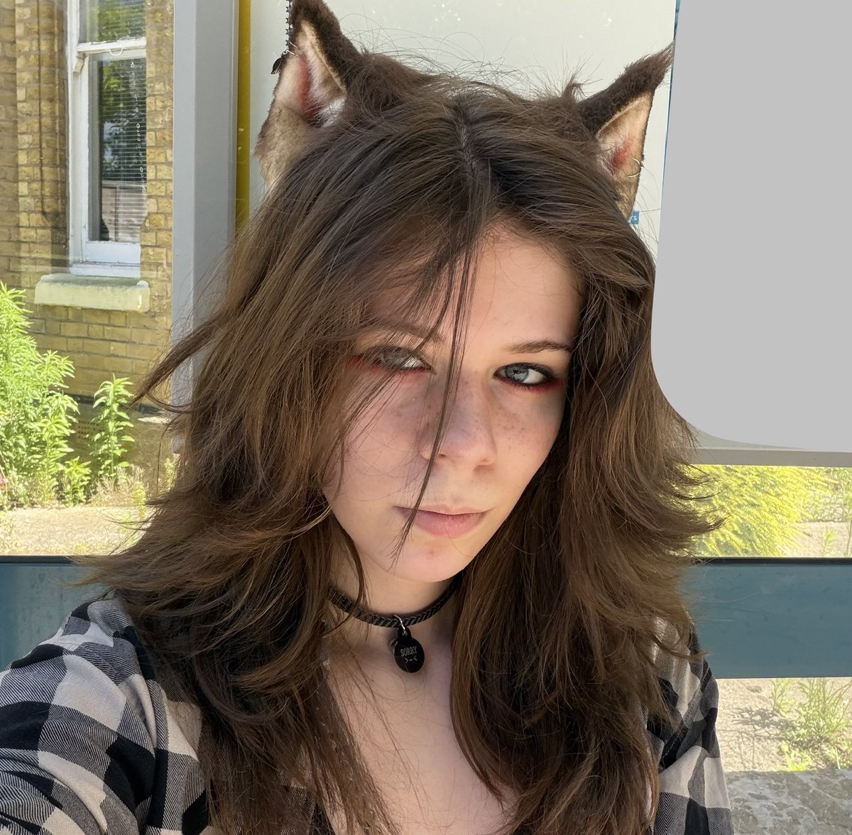 miaaowing's tweet photo. matching cat ears work with EVERY outfit    i wish i could wear them 24/7 https://t.co/kqp67JvSDq