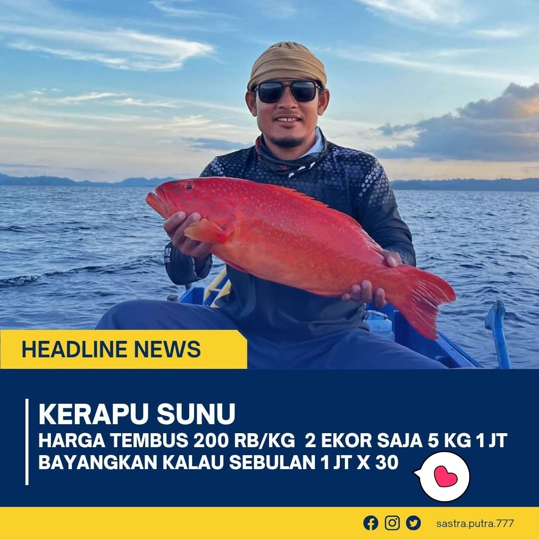 Linon_1907's tweet photo. Hai @grok cek harga ikan Kerapu SUNU
#lifestyle #mancing https://t.co/iQE074LFt7