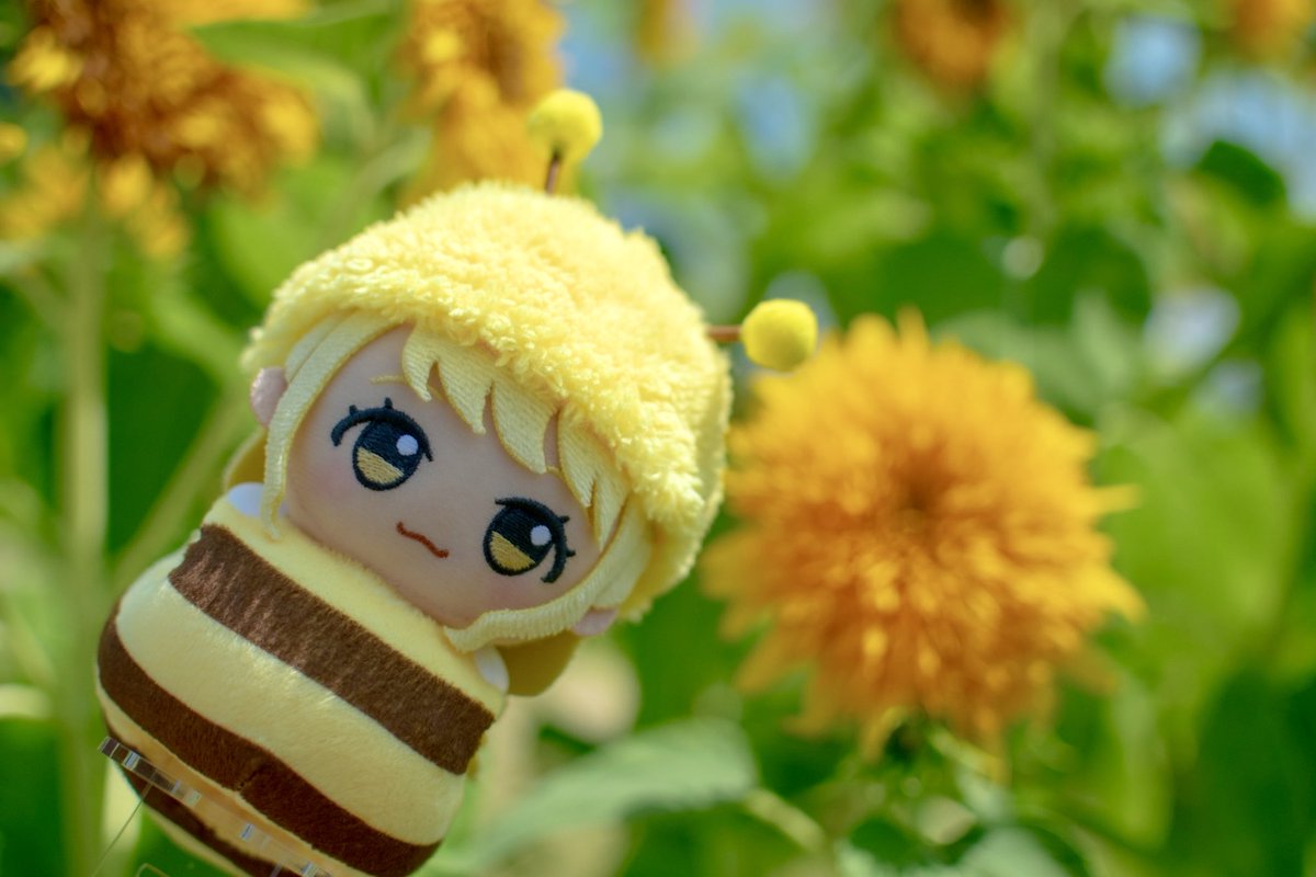 Aba_nui's tweet photo. ハチミツの日 https://t.co/27gFwDr5i1