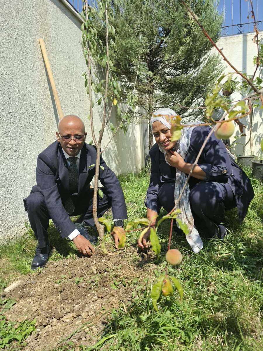 admet3c's tweet photo. ተስፉን እንተከል ! 
#GreenLegacy #EthiopiaFuture #Ethiopia #Ankara https://t.co/v4t0guYcDJ