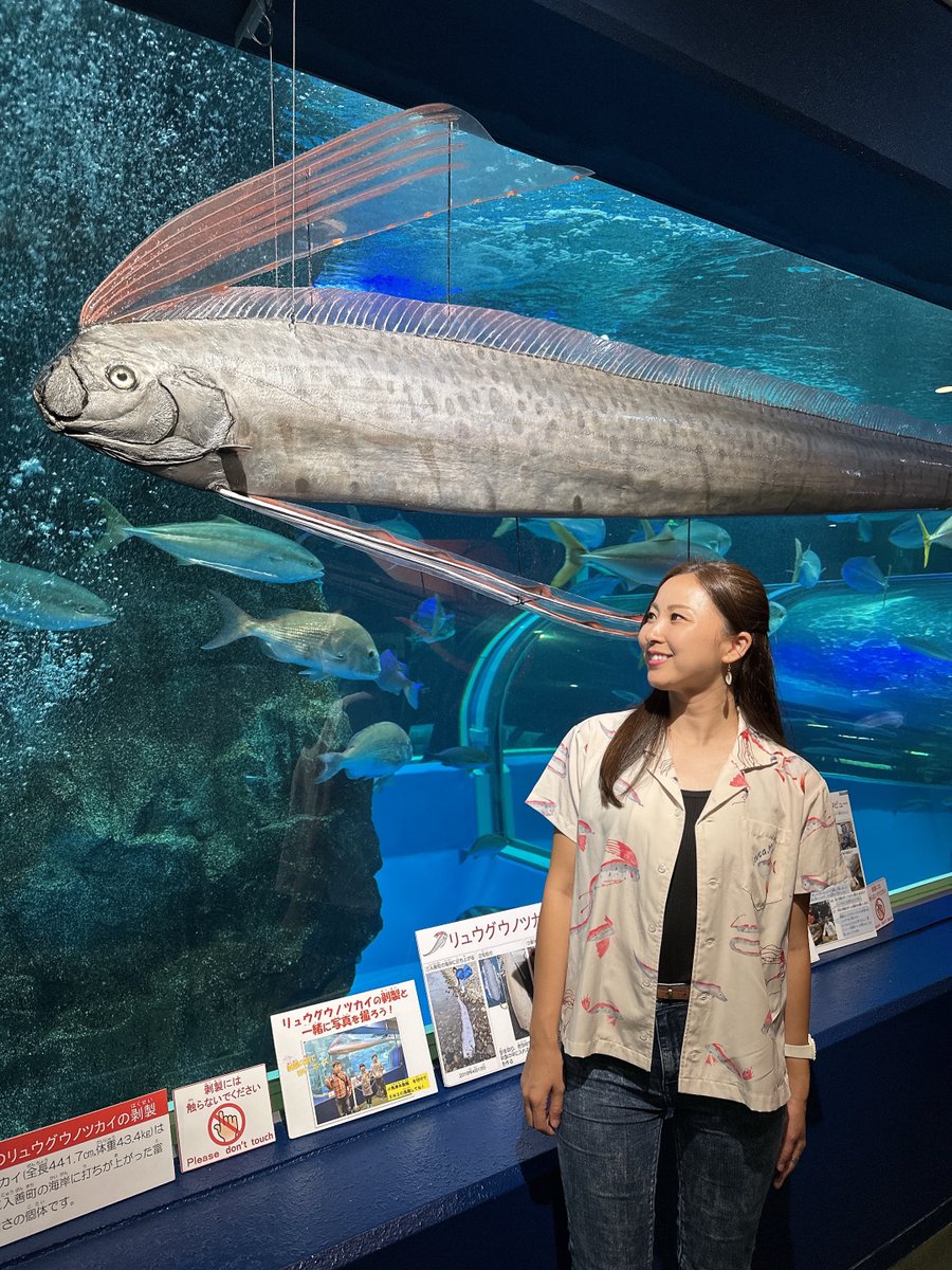 MLavca's tweet photo. アカマンボウ目柄のシャツめちゃくちゃ可愛くないですか🤭？ https://t.co/GLENrAYwcQ