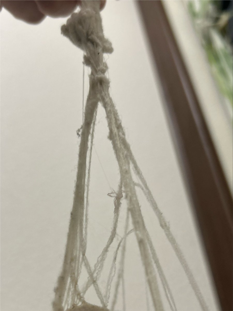 Ikills1nu's tweet photo. 真面目な話本当に下着がなくて、この状態のものを使うか1ヶ月以上洗濯せずつけてるものをまだ使うか、小学生が着るようなうっすいパッドのよれよれシャツを着るしかない😭 
買ってくれる人いないし、お金ないし、外行けないし、ママのお下がりのも壊れたし、生きるの難しすぎて😭 https://t.co/7BK2OsQzxk