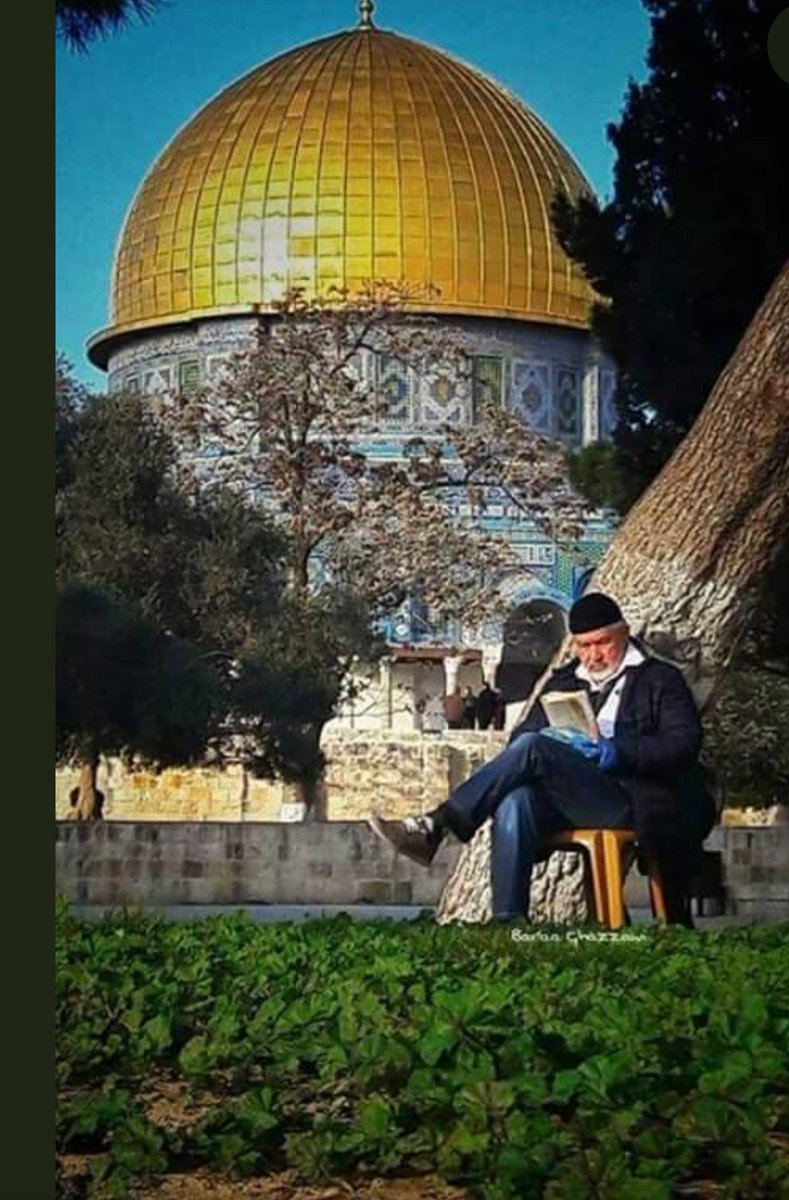 AqsaMosq's tweet photo. أُنسٌ بالقرآن.. وفي أطهر المَكان 🕌

طمأنينةٌ لا تُشبهها راحة، ونورٌ يغمرُ الرُّوح https://t.co/tUSEQeGCYP