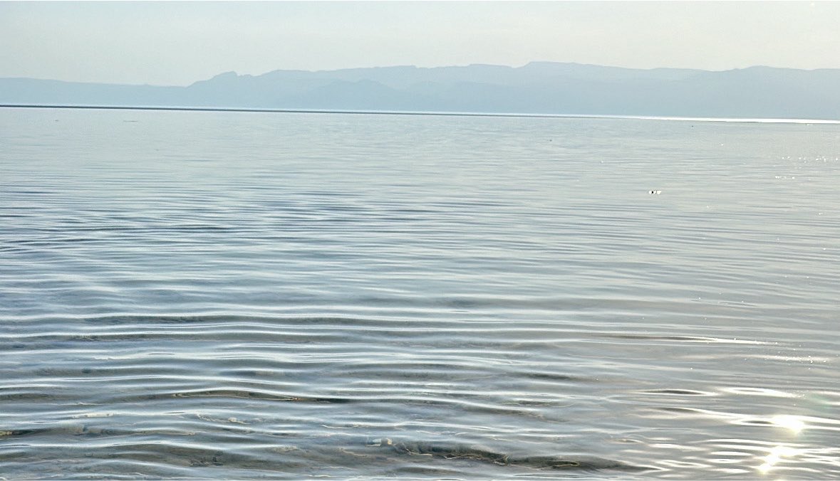 1lnuli's tweet photo. 🌊🪼🪸 https://t.co/aswwYgllLh