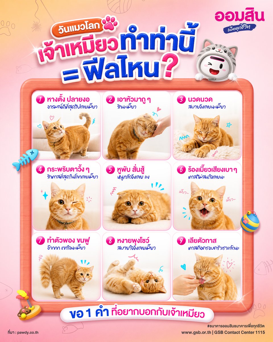 GSBSociety's tweet photo. ข้างในใครจะรู้ ท่าทางเจ้าเหมียวก็มีความหมายนะ 💗🐈

เซฟไว้ แล้วไปอ่านใจเจ้าเหมียวที่บ้านกัน
หรือมีภาพท่าแปลก ๆ ที่น้องชอบทำ ก็คอมเมนต์มาอวดความน่ารักกันได้น้า 💗

#ทาสแมว
#วันแมวโลก
#ธนาคารออมสินธนาคารเพื่อทุกชีวิต
#SmartSocialBankForAllLives
#GSBSociety https://t.co/B7MFFewRus