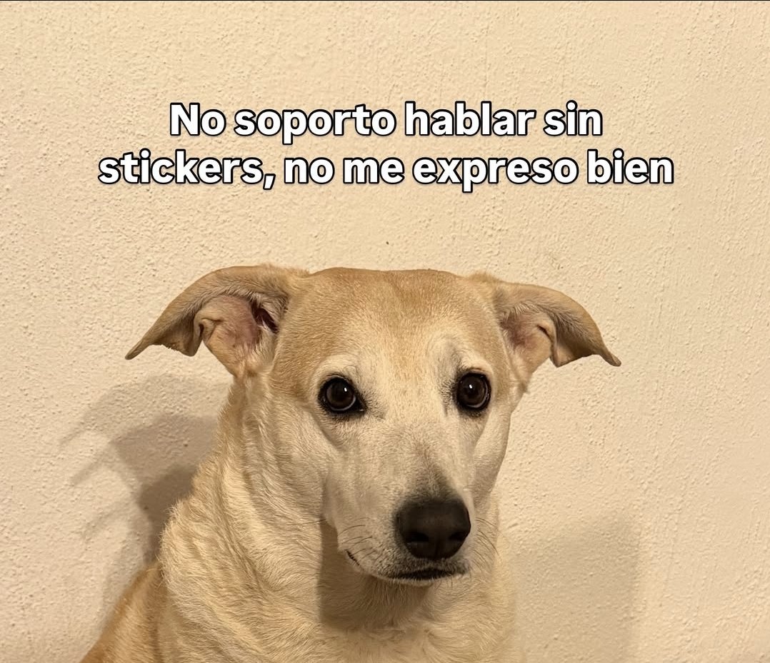 nvvarroo's tweet photo. https://t.co/1L5iEUKqE2