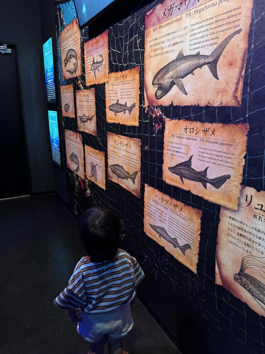 basya_yoda's tweet photo. 伊東・沼津旅行 その④

深海魚水族館！

前から興味あったので
行けて良かったです🐟

おすすめ！！！ https://t.co/hvejIMfYAr