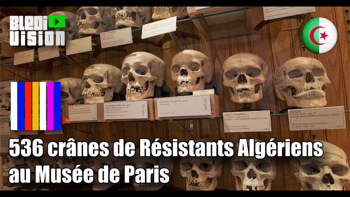 valarmorgulis2_'s tweet photo. @NanaNan34074274 Aller recuperer les cranes de jedkoum au musé de l’homme pour commencer 😂 et renverser la junte militaire qui vous pillent l’argent du petrole et du gaz depuis 60 ans et changez votre hymne pleine de shirk qui jure par les tempêtes et le sang et votre santé mental s’arrangera 😂 https://t.co/IAlnfPAz88