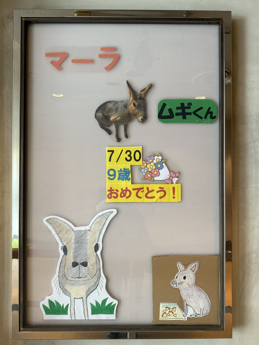 tomomo (@tomomo02070283) / Posts / X
