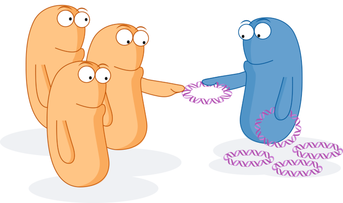 NatureRevMicro's tweet photo. New online! Within-host gene transfer drives tobramycin resistance https://t.co/IgmJghztTA https://t.co/fKxaQlaV3V