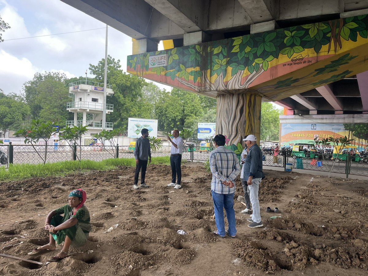 VMC_Park_Garden's tweet photo. Plantation work in progress under the GSFC bridge...#greenvadodara#keepcityclean https://t.co/lMHFyIATiR