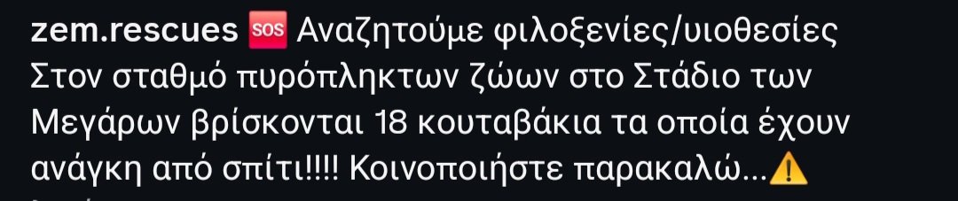 Chrisafina1's tweet photo. 🆘‼️🆘🆘‼️🆘 Ανάγκη για φιλοξενίες/ υιοθεσίες. 
18 κουταβάκια βρίσκονται στο σταθμό πυροπληκτων ζώων στα #Μέγαρα και χρειάζονται ενα σπίτι και μια οικογένεια. Επικοινωνία @zem_rescues https://t.co/kazbpPovUD