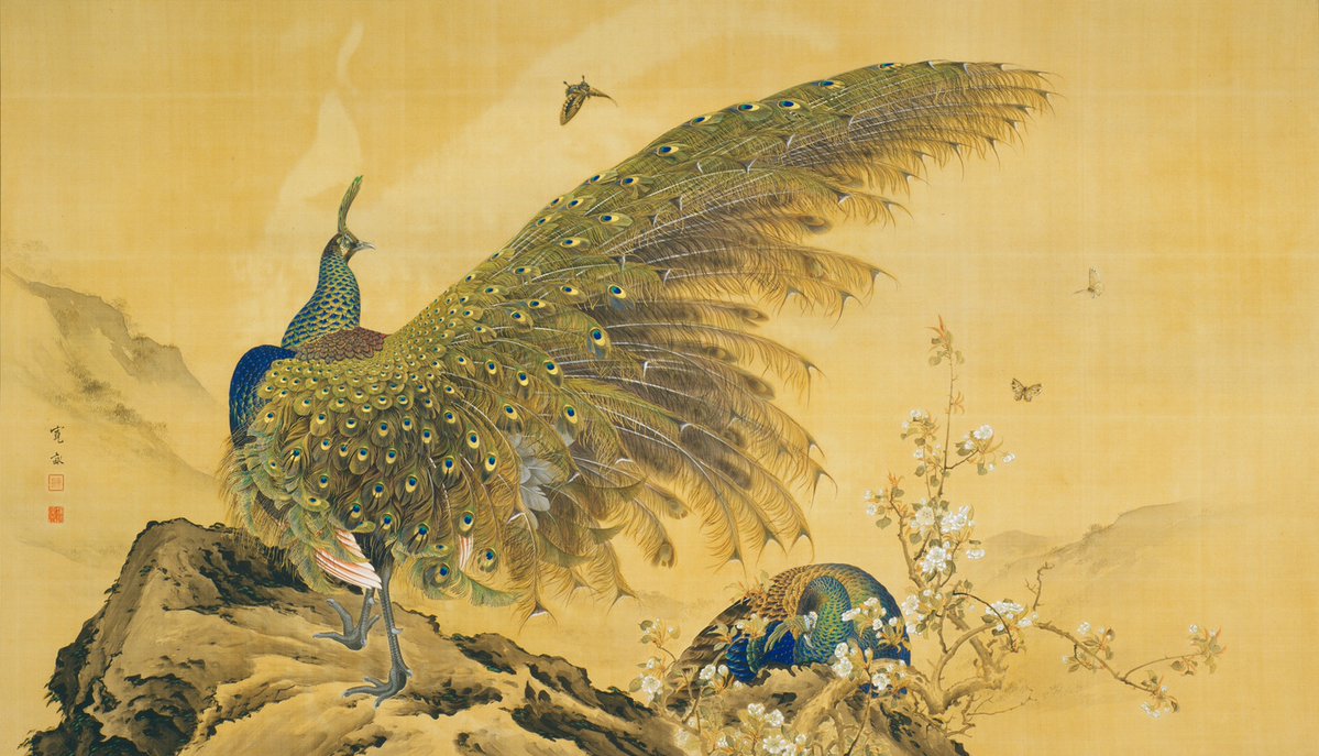荒木 寛畝 あらき かんぽ Araki Kanpo 1831–1915 《孔雀図》 くじゃく