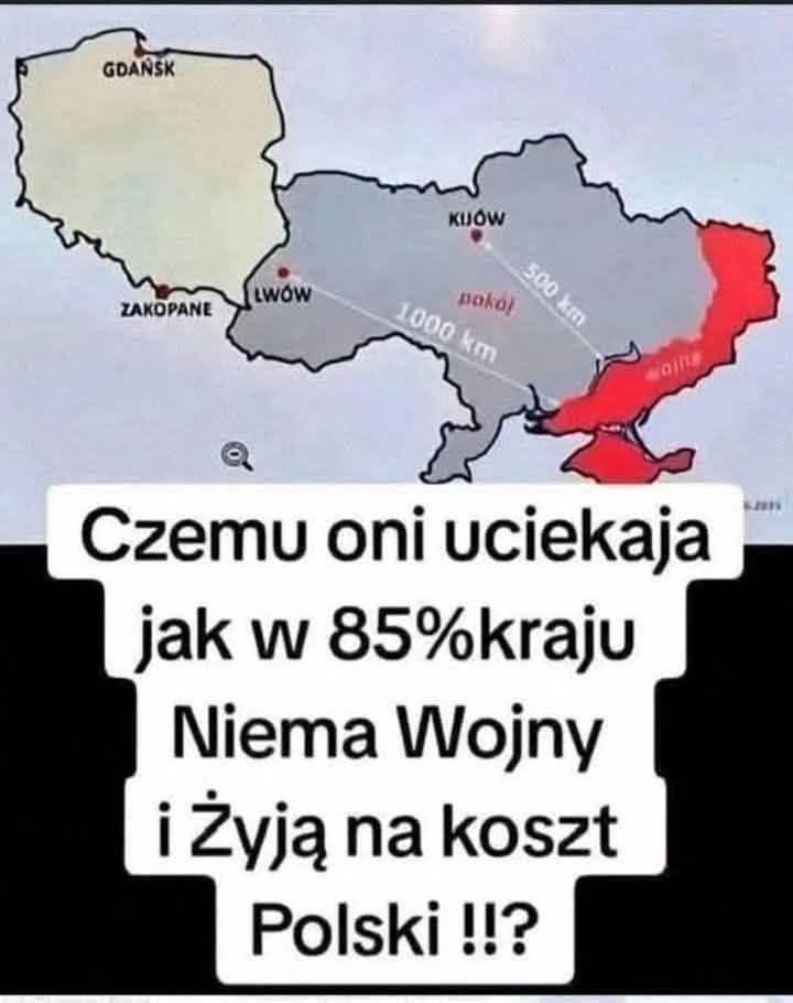 _AGENDA_2030's tweet photo. "Bo debilami jesteśmy.
A poza tym nasz Rząd składa się z agentów syjonistycznych, co zresztą jest spójne z punktem pierwszym. Rządzą nami agenci obcych wpływów" https://t.co/K8cUuFHnEn