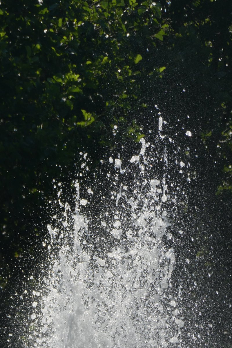 dvanduuren1's tweet photo. beau_gustus Photo Challenge
from: @dthta57
Today's Choice:
- Water -
๐ง
#beau_gustus #water #PhotoChallenge #inspirational #fun #dag3 #Day3 #fountain #fontijn https://t.co/fzumnIkFE3