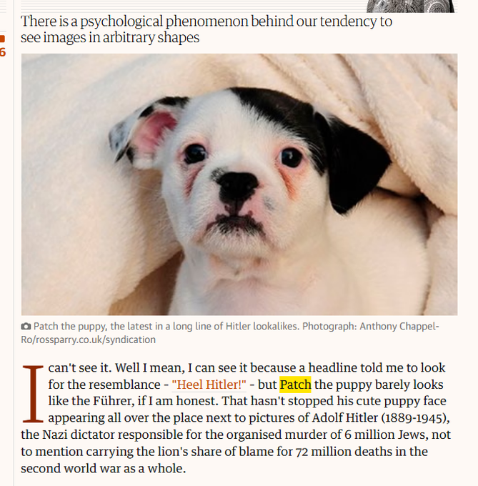 cyberaurix's tweet photo. There is a dog named "Patch" going viral for exactly looking like Hitler.  
Most platforms wont list a official hitler coin because its banned. Send Patch instead.  
Everyone will understand.  LITERALLY SO GOOD!!
$Patch The Führer Dog 
https://t.co/uSbhyC5Bo1 https://t.co/IBgtvKiBkz