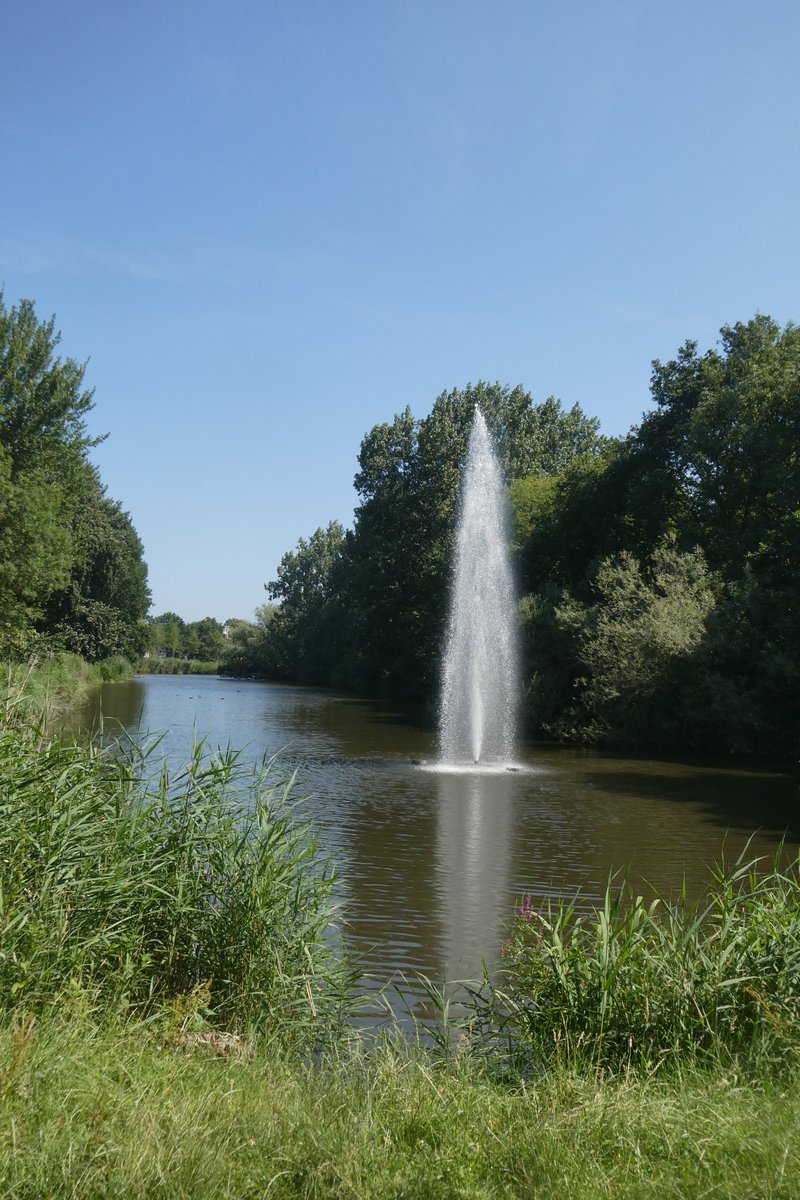 dvanduuren1's tweet photo. beau_gustus Photo Challenge
from: @dthta57
Today's Choice:
- Water -
๐ง
#beau_gustus #water #PhotoChallenge #inspirational #fun #dag3 #Day3 #fountain #fontijn https://t.co/fzumnIkFE3