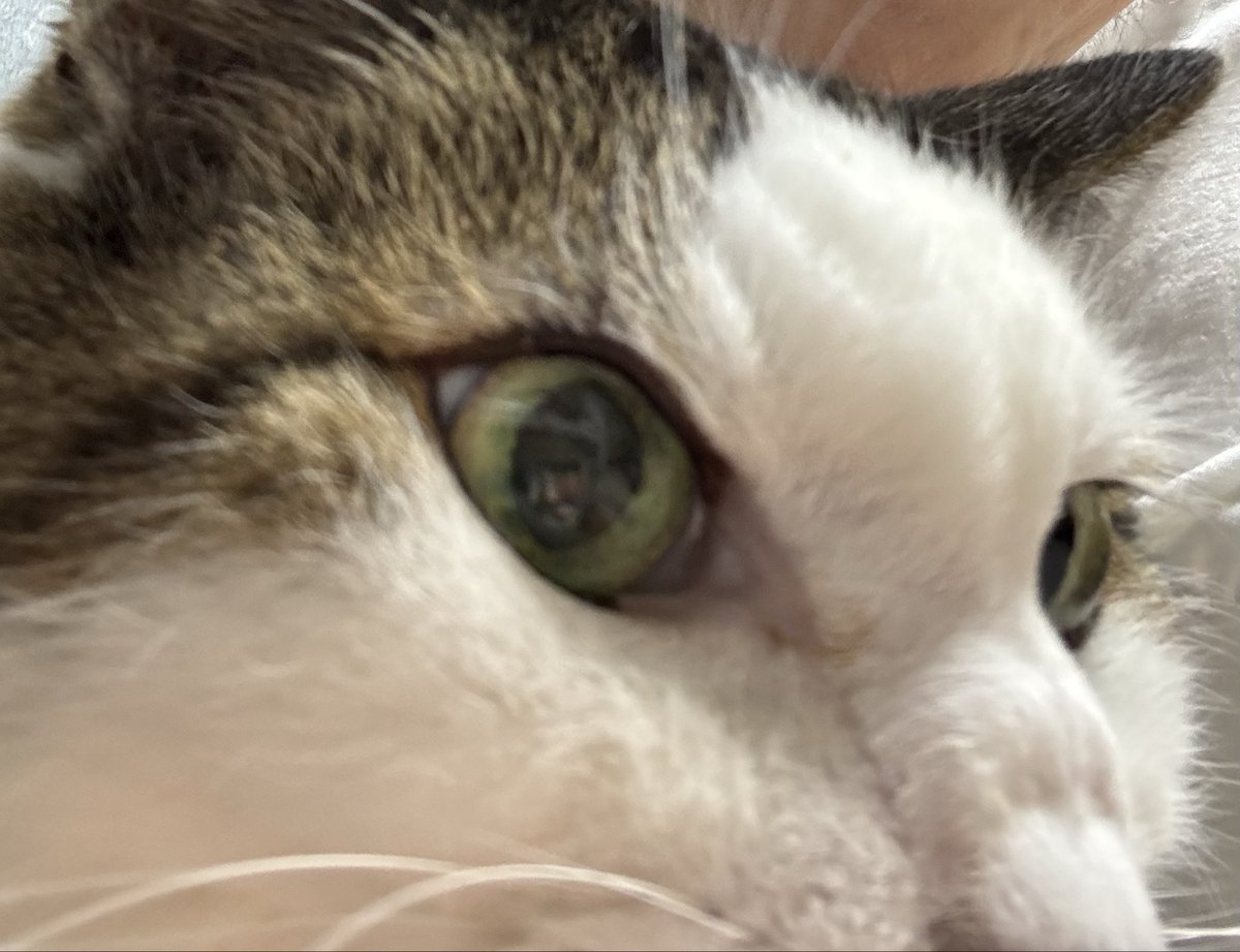 otis0702's tweet photo. 8月に入って今日から
新しい業務が始まり1日研修受け
研修だけで今日が終わり
研修だけで疲れ切って家に帰り
何も出来ずに換気扇の下でタバコを
吸いながら猫の頭を撫でとります。

夕飯の支度せんといかんのにな😓 https://t.co/Ynor1cV6zx
