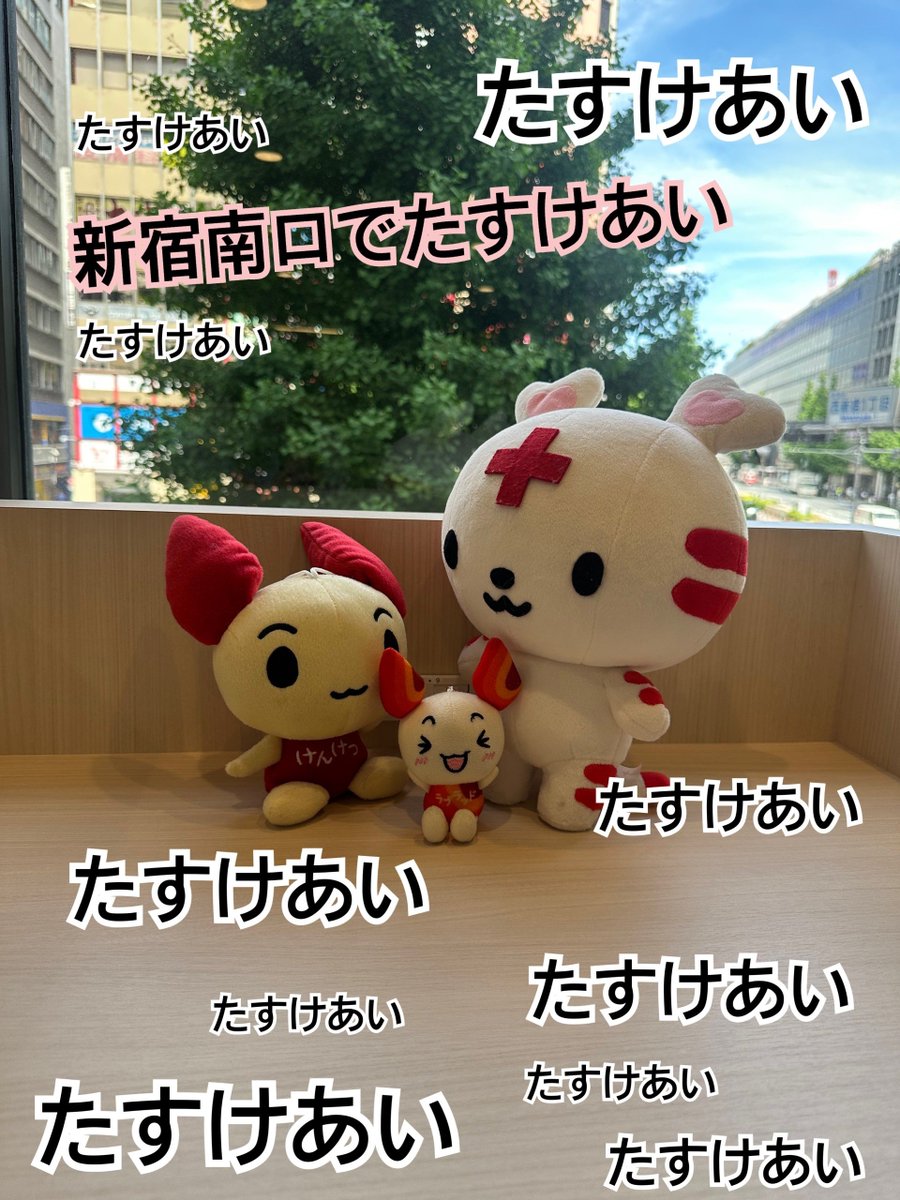shinjukuminamiR's tweet photo. 今日は初めて献血に来てくださる方の多い日だったッチ♪＃新宿南口 献血ルームは「初回」の献血協力にも力を入れているッチ！ぜひ、またのお力添えもお待ちしているッチ❤

8/4(火)
成分献血、全血献血ともに予約なしでもご協力大歓迎✨
☎03-3320-2010
お待ちしております！
＃献血 ＃たすけあい https://t.co/DV0f8DstH5