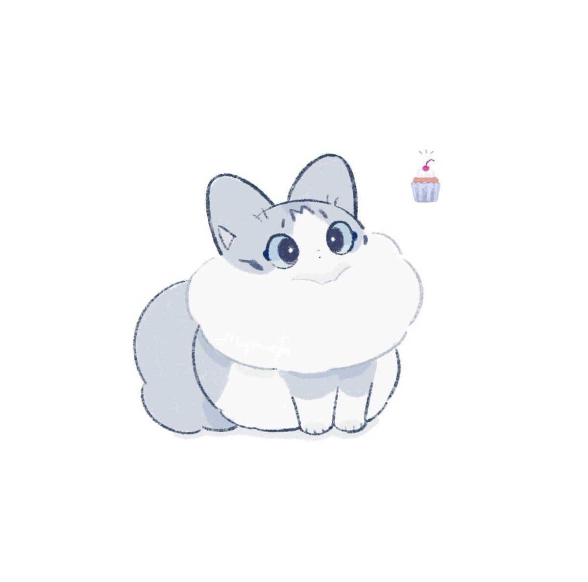 NekoMorino's tweet photo. カップケーキ体型 https://t.co/CUTkEr6Gtl