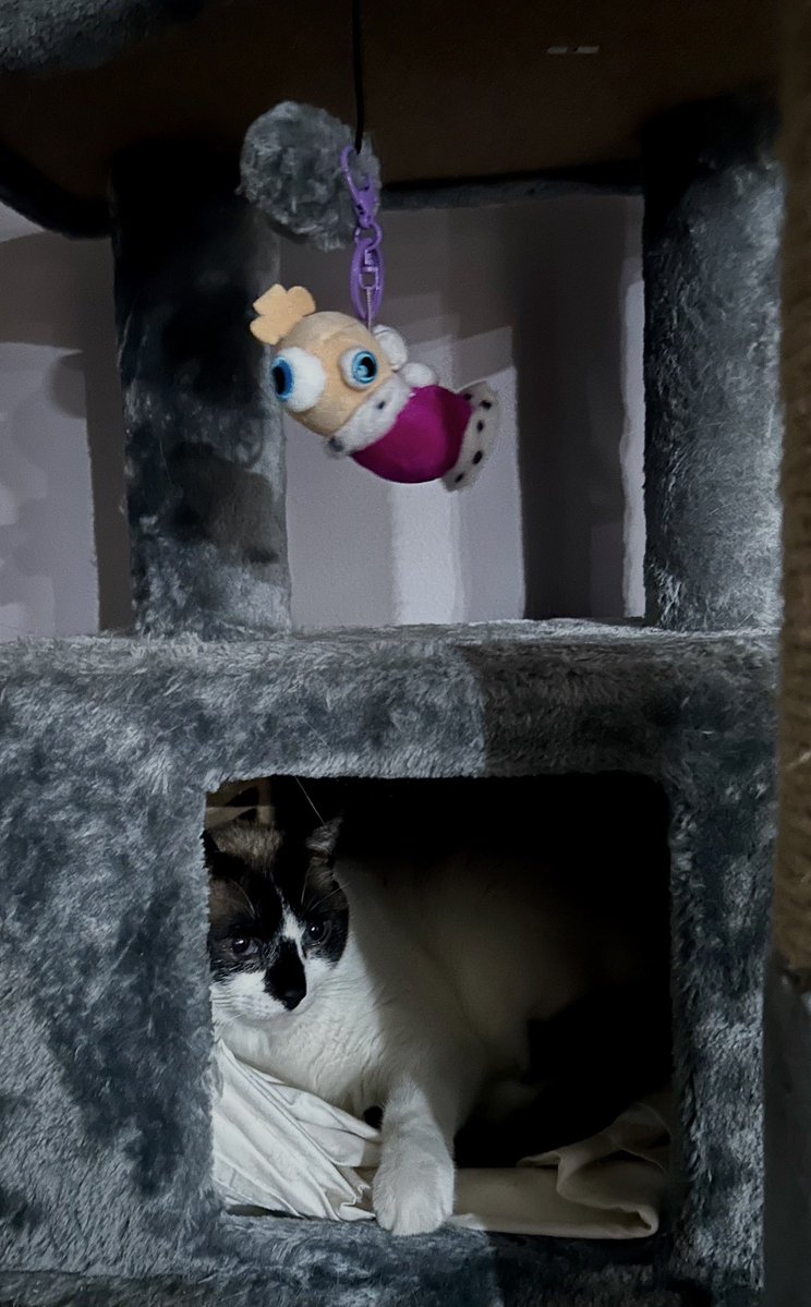 mumblemeee's tweet photo. I’m right above you, aren’t I? https://t.co/JNZ5xQZyqM