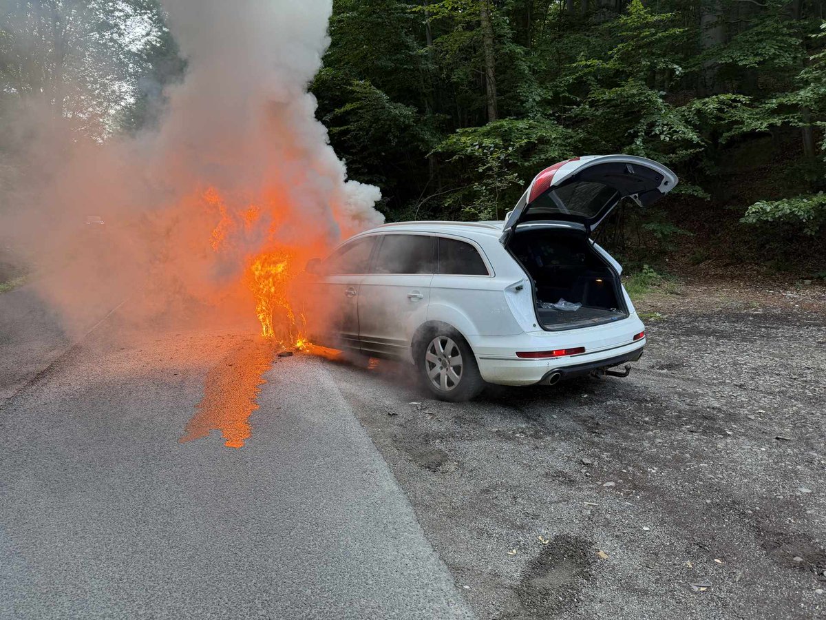 hzs_lbk's tweet photo. 🚒 Technická závada byla pravděpodobně příčinou vzniku požáru osobního automobilu, který v minulém týdnu likvidovali tanvaldští hasiči na silnici mezi Smržovkou a Velkými Hamry. Plameny způsobily škodu vyčíslenou na zhruba 350 tisíc korun. Více o zásahu: https://t.co/SSiq6Iwebf https://t.co/43SeNspkJo
