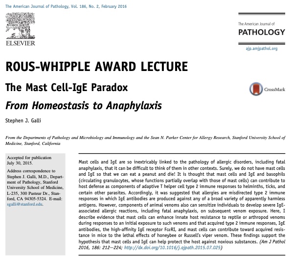 askdoctoranne's tweet photo. Love the work from Dr. Stephen Galli: 
"Mast cells and IgE are so inextricably linked to the pathology of allergic disorders, including fatal anaphylaxis, that it can be difficult to think of them in other context.  Surely, we do not have mast cells (MCs) and IgE so that we can eat a peanut and die!  
Am J Pathol 2016, 186: 212e224; https://t.co/l0bJRoIvwD)

#MastCells
#BeyondAllergy