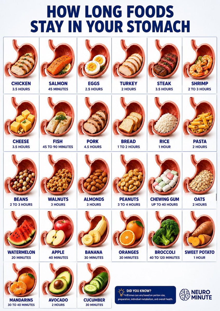 TansuYegen's tweet photo. How long foods stay in your stomach… https://t.co/ivecrsaQec