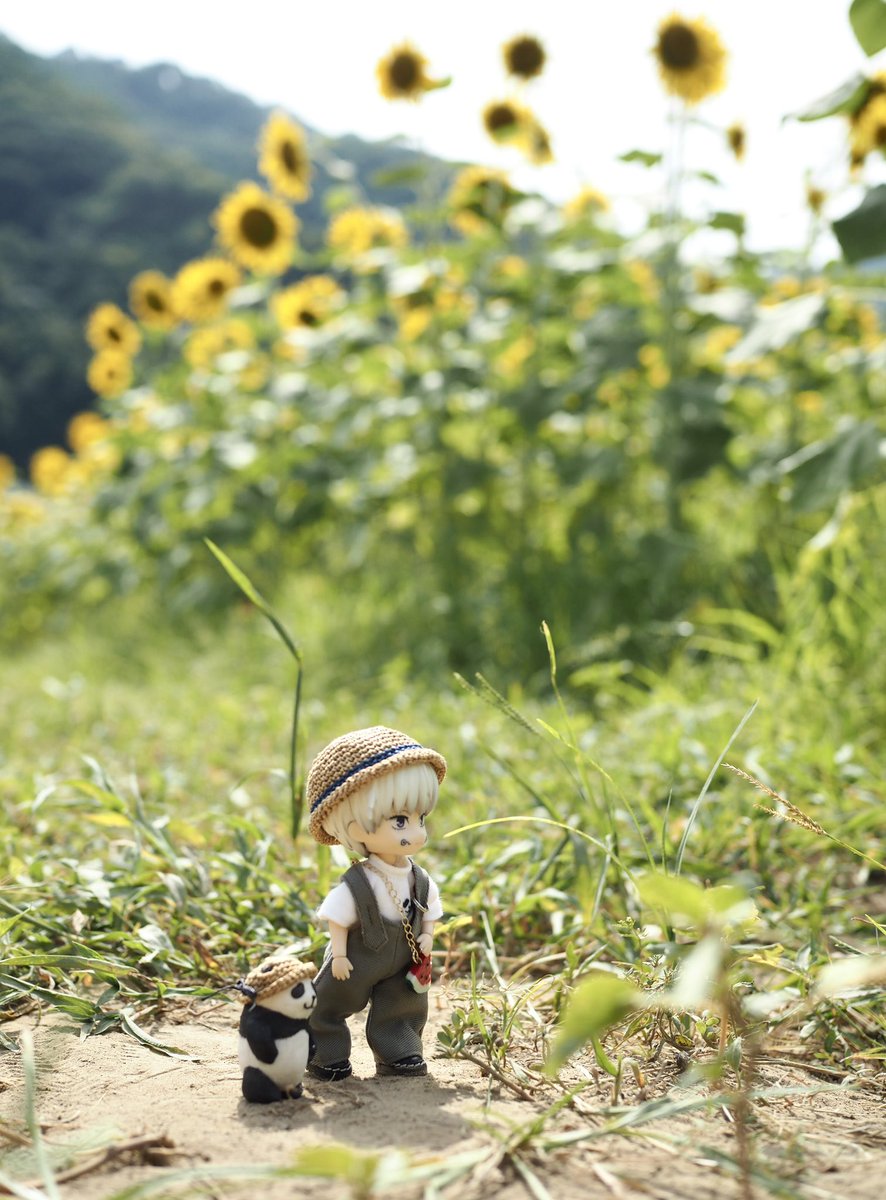 pppiiica's tweet photo. 私が持ってるのは以前のバージョンですが👒
夏の必需品！！！ https://t.co/VSh1qBGf8d