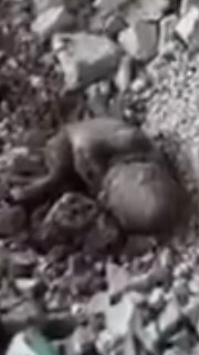 yasminarmendari's tweet photo. 🚨ISRAEL KILLED A PREGNANT MOTHER .. this is what’s left of her unborn baby😢
STOP 🛑 THE KILLING 🛑 https://t.co/3z8s2Zh7pd
