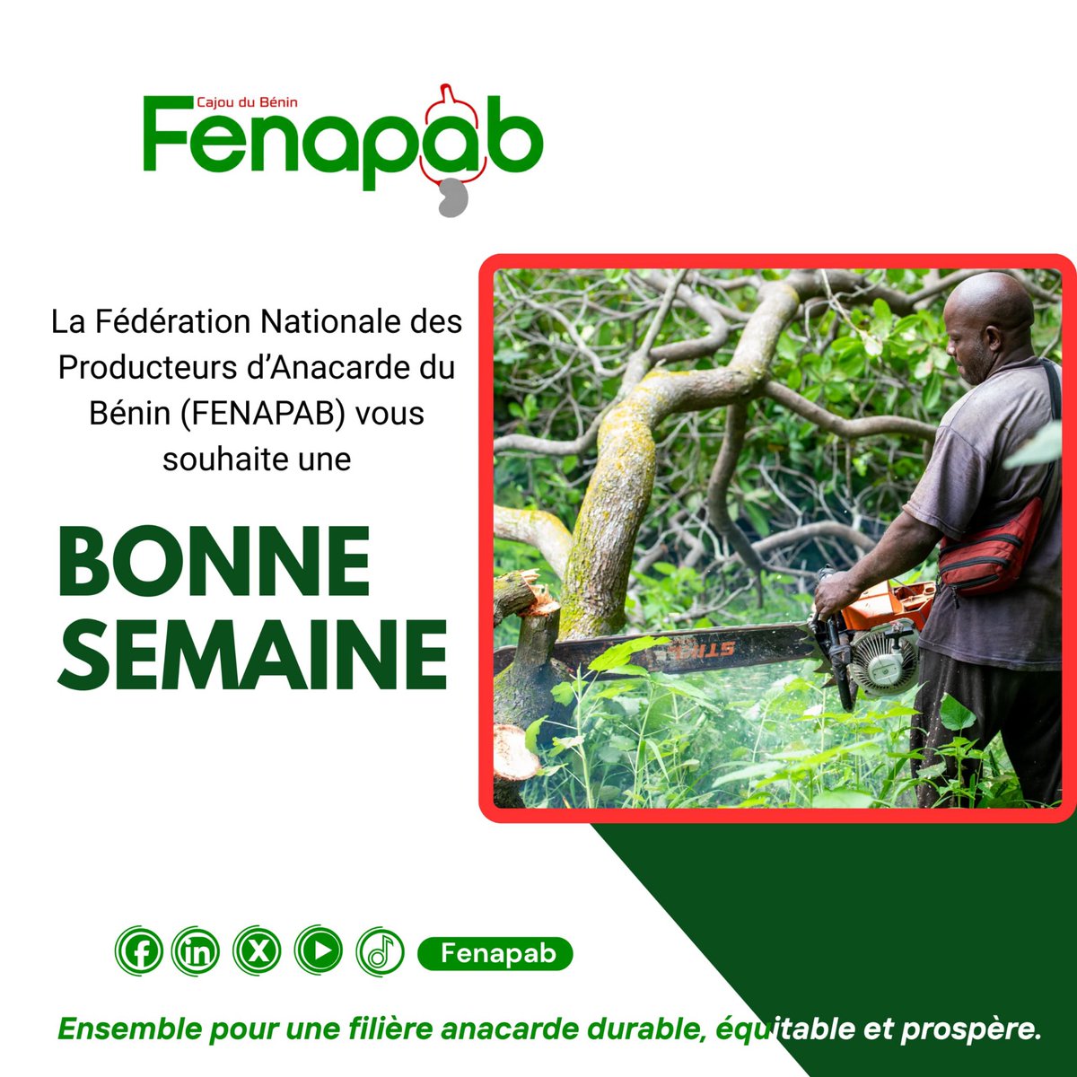 Fenapab2022's tweet photo. La Fédération Nationale des Producteurs d'Anacarde du Bénin FENAPAB vous souhaite une bonne semaine. https://t.co/8DA6Y8nfzY