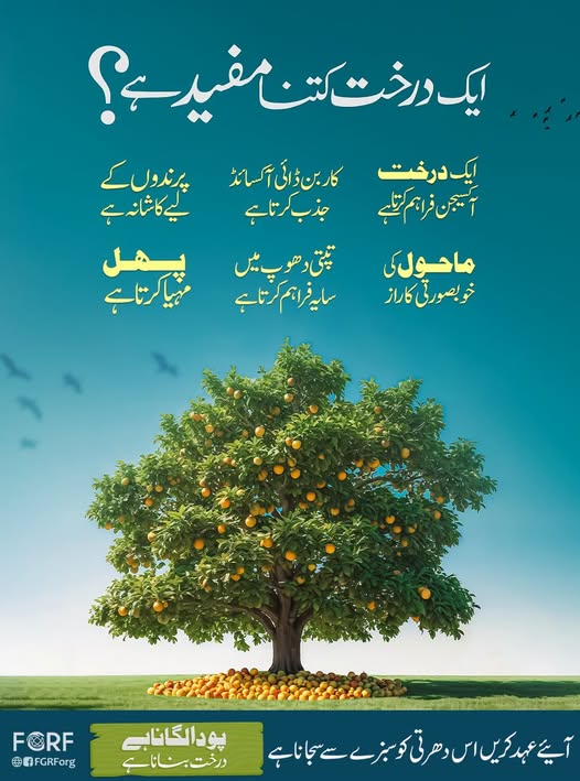 MADANIinfo's tweet photo. ایک درخت بہت سے فائدے
پودا لگانا ہے درخت بنانا ہے
#Trees #Plantation #FGRF https://t.co/uZBDlkfTv9