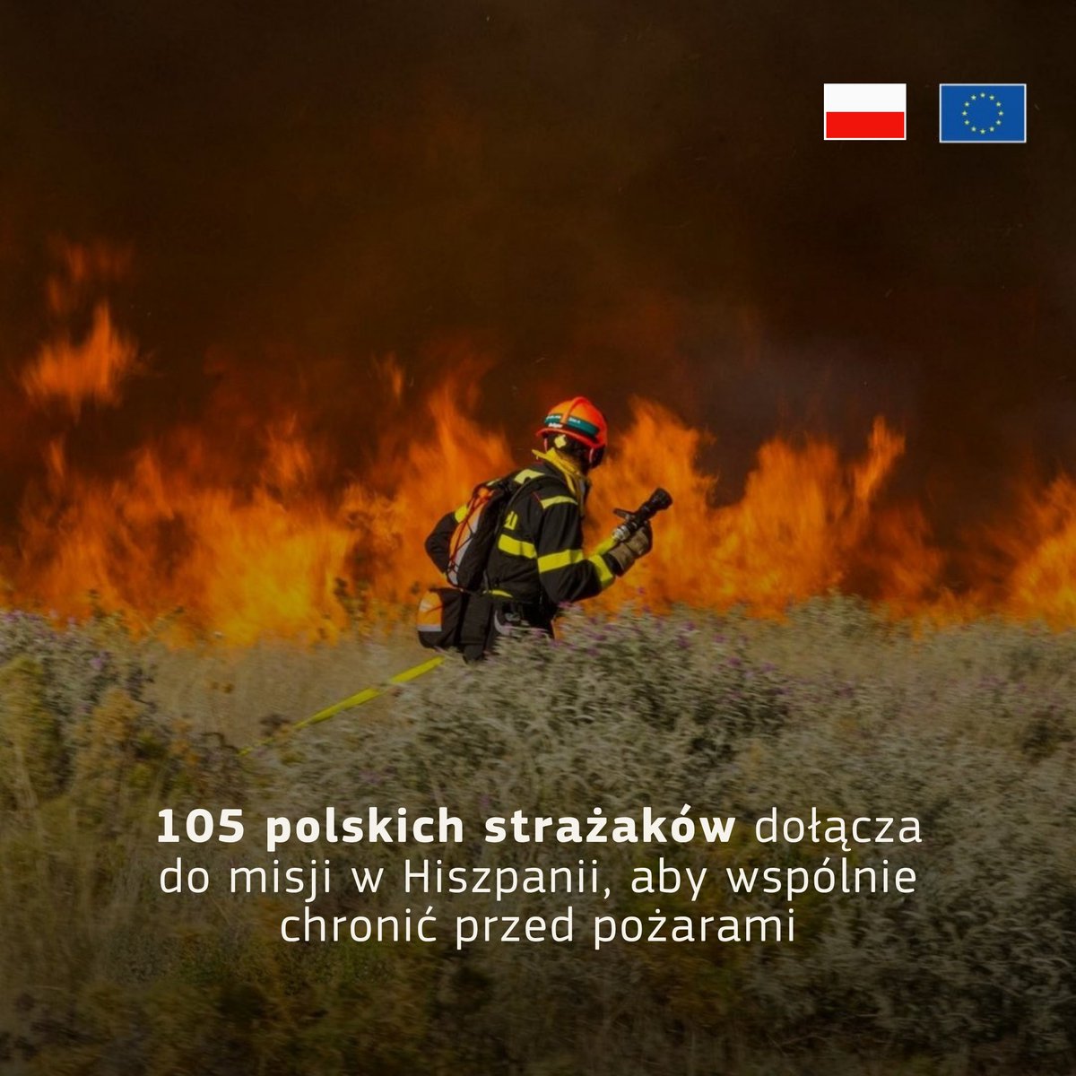 EUinPL's tweet photo. 🇵🇱 105 strażaków z modułu GFFF Poland rozpoczyna od 1-go sierpnia wspieranie działań w Hiszpanii. Przez 31 dni będą pomagać lokalnym służbom w walce z pożarami lasów w ramach Unijnego Mechanizmu Ochrony Ludności.

Więcej: https://t.co/qTEqjQhmxe

fot. @KGPSP https://t.co/9HIiBxaElP