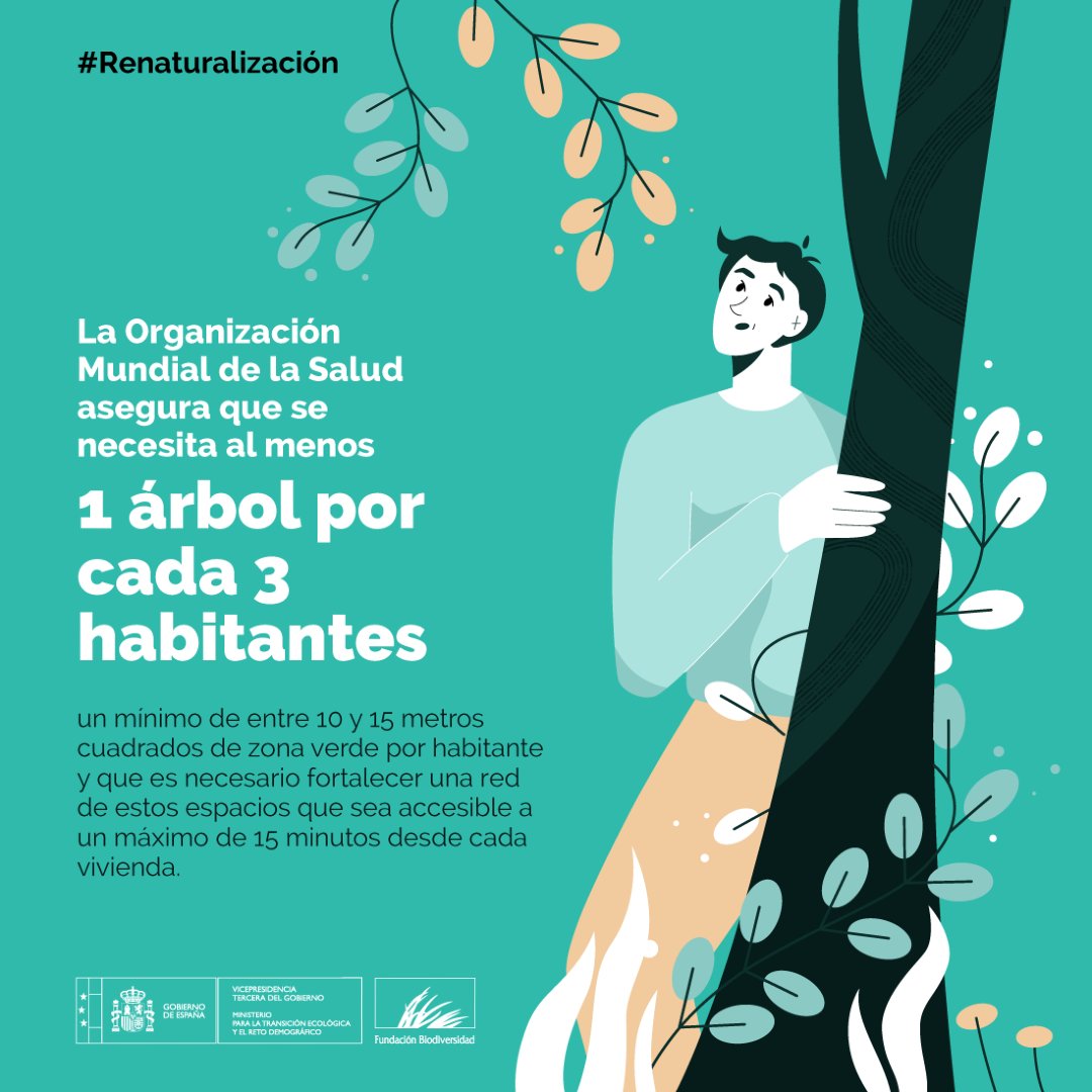 FBiodiversidad's tweet photo. 🍃 Los árboles desempeñan un papel clave frente al cambio climático.

💨 Capturan y almacenan CO₂ y contribuyen a disminuir la temperatura del entorno entre 2 y 8 °C. 🌡️

#Renaturalización https://t.co/Ogno5uGcKU
