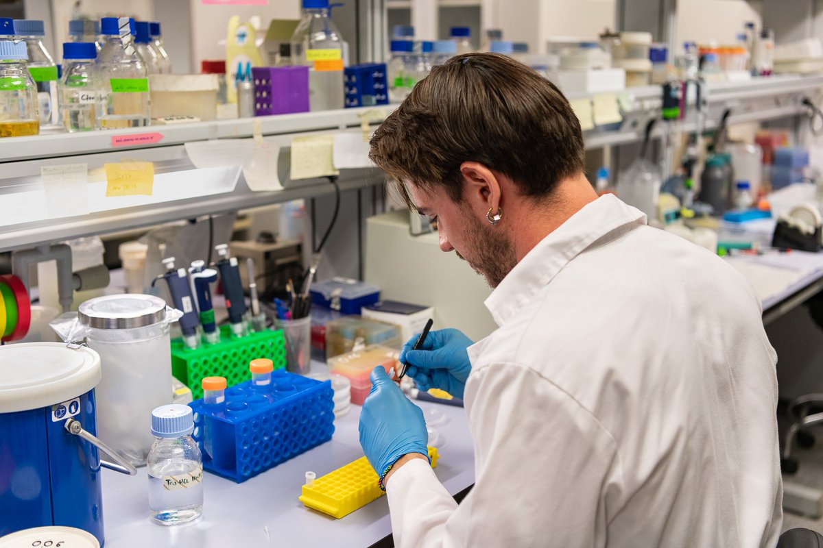 cobcm's tweet photo. #Botánica | Una "llave molecular" desarrollada en el @IBMCP permite pausar la fotosíntesis para que las plantas acumulen vitaminas, proteínas o grasas. Convertir los paneles solares del vegetal en almacenes de nutrientes. Vía @CSIC 
#COBCM #divulgación
https://t.co/4feii3xqe9 https://t.co/JWgwsKumdP