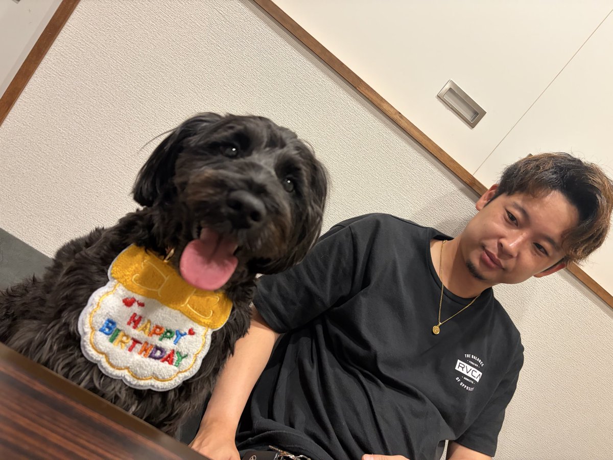 VTR250CBR250's tweet photo. エド&amp;ウル🐶🐶

2歳のお誕生日🎂

犬同伴の焼肉屋さんめっちゃよかった💓
美味しいしおすすめ💫

◎福山　焼肉ちとせ https://t.co/mcZONf45V9