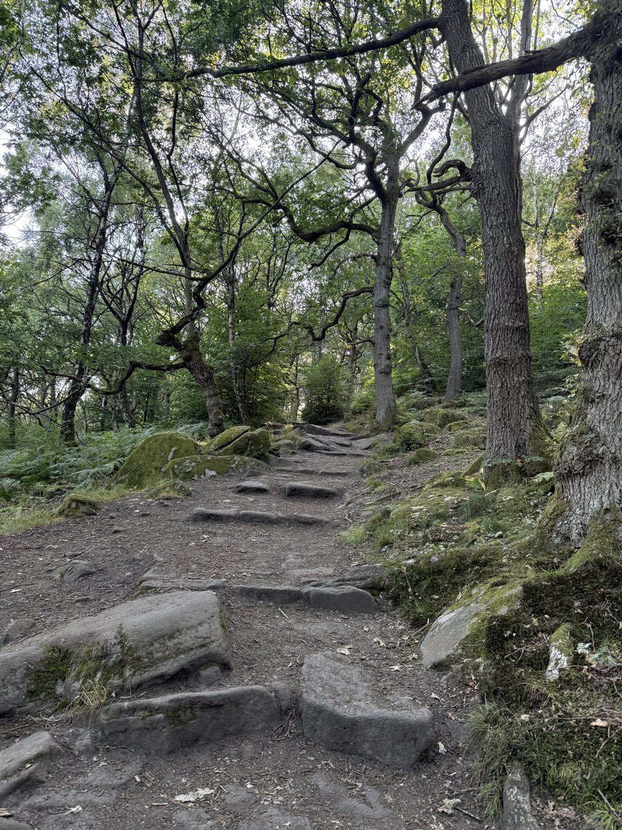 l12active's tweet photo. How strange is the one who sees the beauty and immaculateness of nature, and then disbelieves in God. https://t.co/ECpNXzSba6