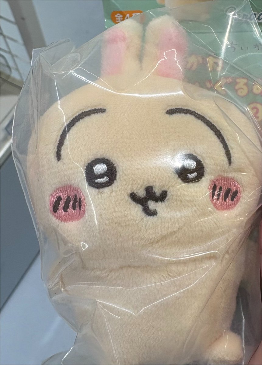 akasatanaua's tweet photo. 交換　ちいかわ　おすわりぬいぐるみ
求→古本屋（カニちゃん）＞ハチワレ＞モモンガ
譲→うさぎ

本日新大久保で手渡しor郵送での交換可能です https://t.co/c199y6aVFR