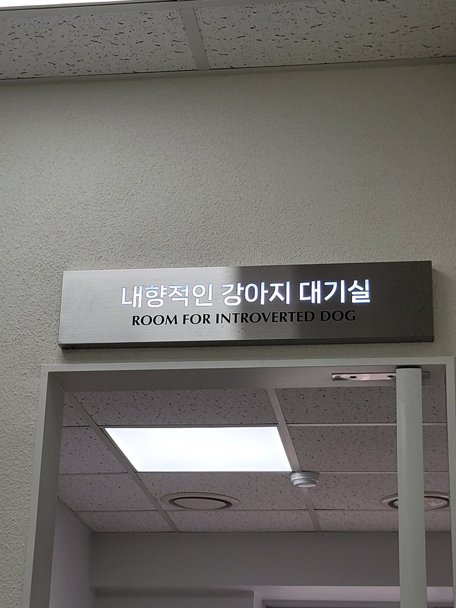 crazyinsr's tweet photo. 내향적인 강아 대기실에서 만나게 된 대형견 솑멍이와 소형견 롟멍이.... 왠지 롟이는 체구 작지만 딴딴한 블랙탄 생각나구 솑은 결좋은 인절미색 보더콜리 생각나 보더콜리가 내향적이라고?? 싶지만 야와활동 나가서 운동 미친듯이(...) 많이 하는거 말곤 아무튼 보더콜리치고 내향적인 솑멍이. https://t.co/rk6jeOabo5
